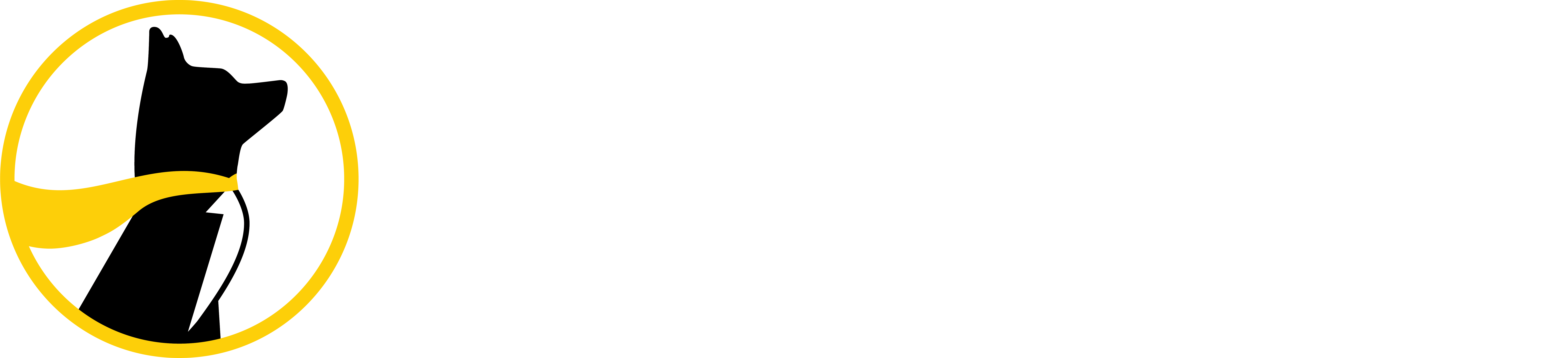 offer-image